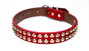 Phone-Sex-Mistress-Sascha-Provides Three Tips For Successful Humiliation Sessions-800-601-6975