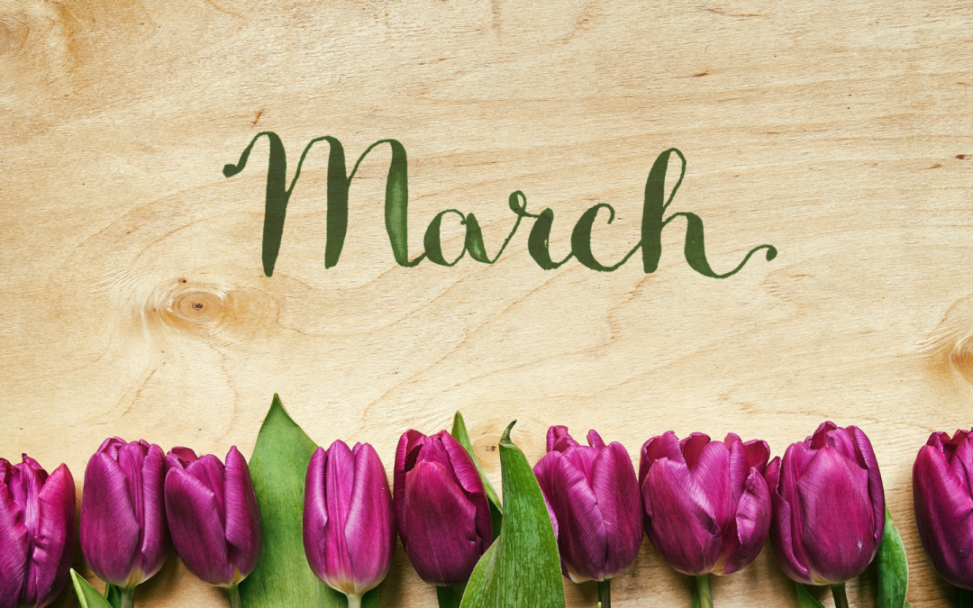 Monthly Highlights For March 2026